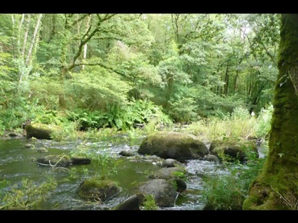 Chapelle Ste Barbe LE FAOUET 2012