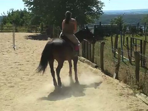 déplacement des hanches