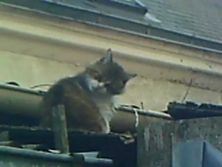 12 08 12 Dean, ce soir, après manger