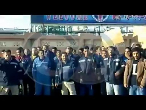 إضراب العمال المؤقتين بشركة بترومنت بغرب بورسعيد