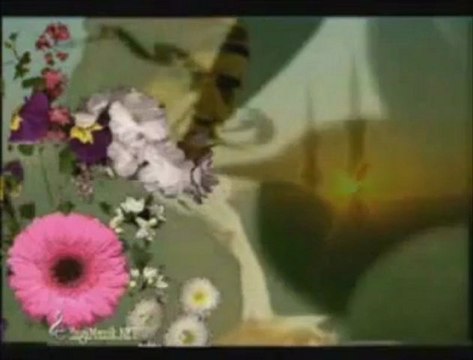 Ömer karaoğlu Şehit Tahtında Rabbe Gülümser