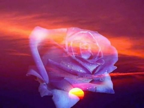 schön das es dich gibt