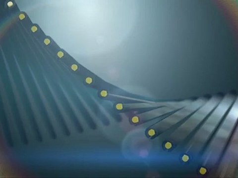 But Souleymane CAMARA (34ème) - Montpellier Hérault SC - Toulouse FC (1-1) - saison 2012/2013