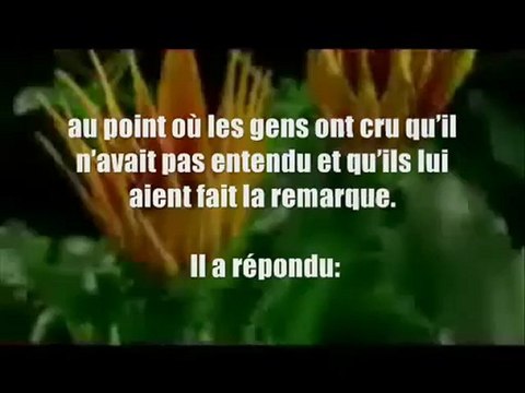 Triste Constat- Paroles de Salafs Où en sommes-nous par rapport aux Salafs (Pieux Prédécesseurs)