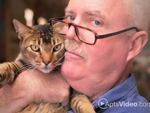 Tustin Cottages Apartments in Tustin, CA - ForRent.com