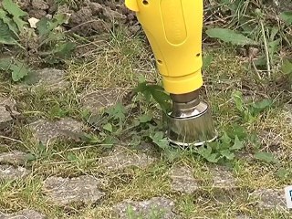 Comment désherber un jardin naturellement ?