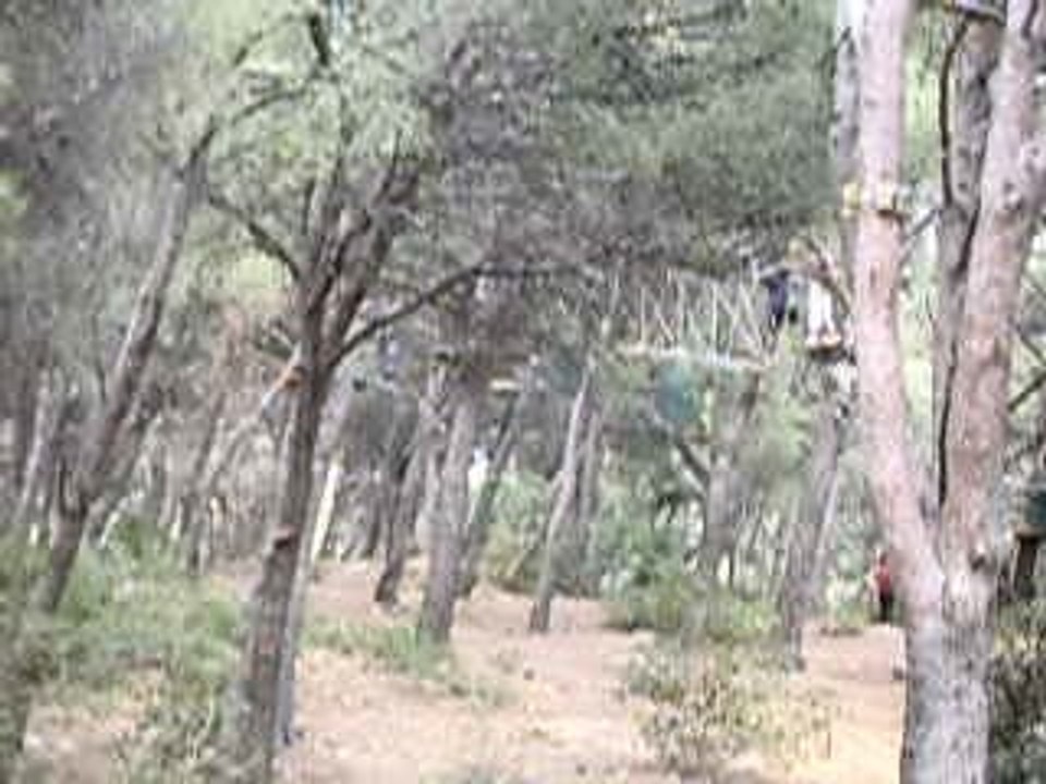 Les vainqueur font de L'accro-Branche