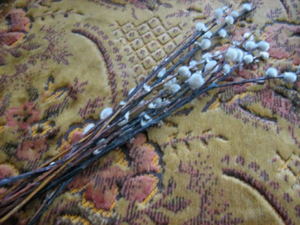 МОЕ ПРАВОСЛАВНОЕ ВИДЕО