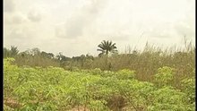 Omalinze 2