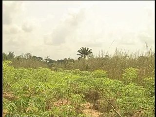 Omalinze 2: Spotlight on Nollywood Star Stephanie Okereke