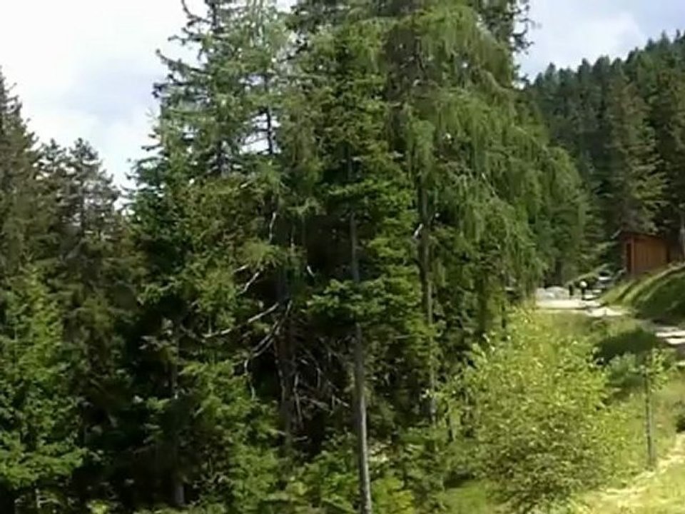 Liebeskummer - Motivation Erfolg Ernst Crameri