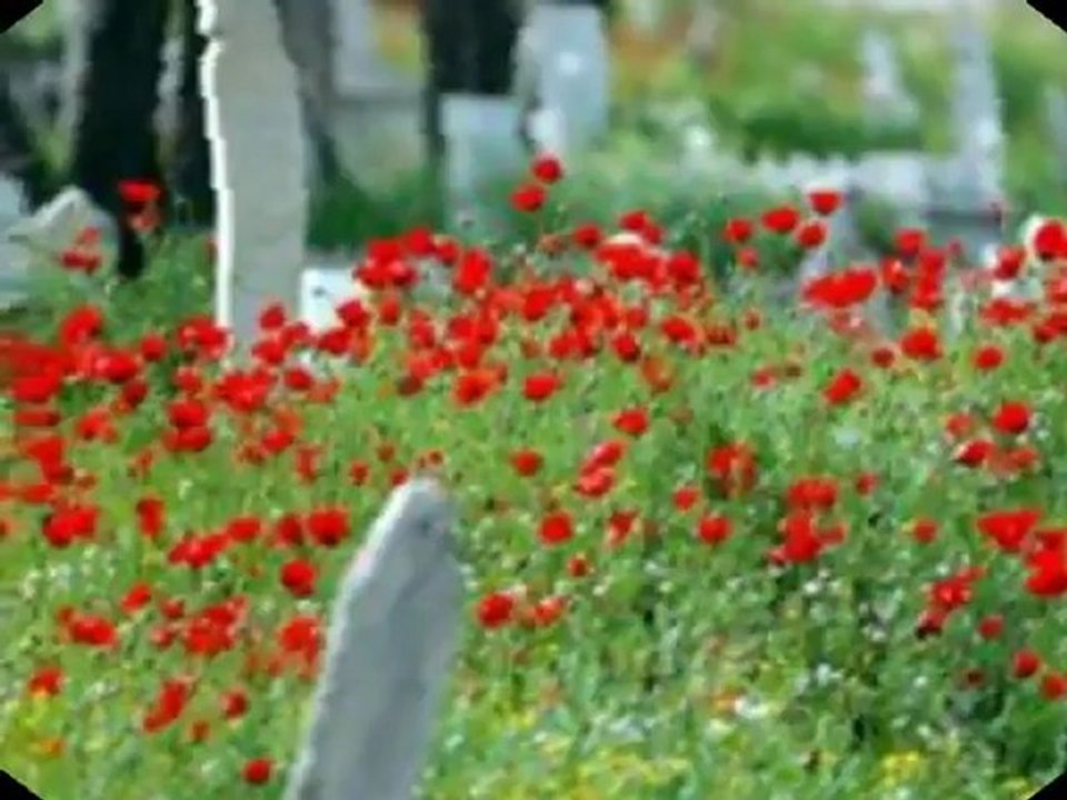 Ceylan 2011 Sustum artik www.sesliozyurt.com