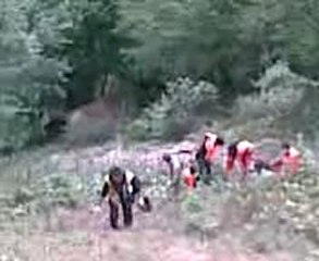 Kürtün Yeşilköy trafik kazası