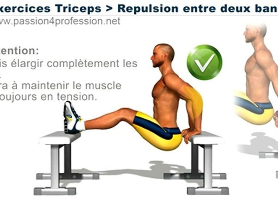 Exercices Musculation Triceps: Repulsion 2 bancs