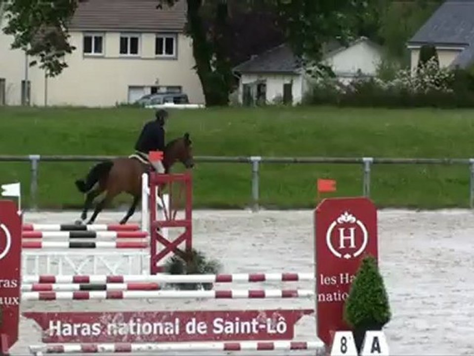 Ukko Diams des Edènes qualificative 4 ans St lô