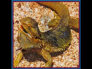 DAILY IN  CHRIST - 128