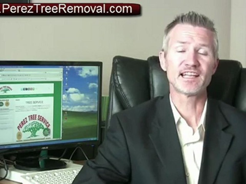 Perez Tree Service Atlanta