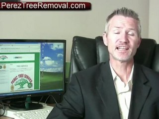 Perez Tree Service Atlanta