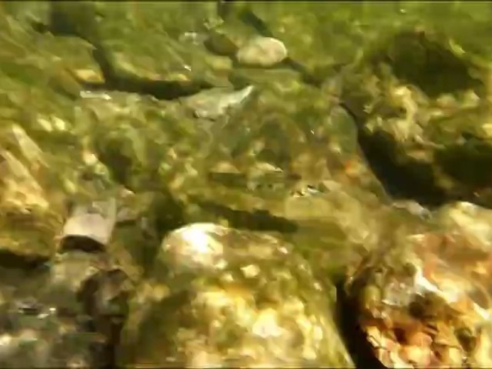 Juillet 2012 - Quelques apnées dans le Tarn