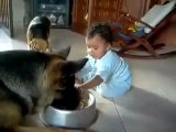 Bu Bebek Köpeğin Yemeğine Göz Dikmiş