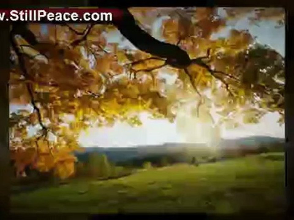 Online Memorials Celebrate a Life