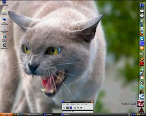 Mega Tool Bot Hatası Bu nedir? neyden kaynaklanır?
