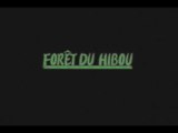 Dark Cloud walkthrough 8 - La Forêt du Hibou hou hou
