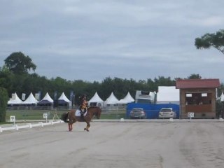 RLM Poney 2 Lamotte 2012