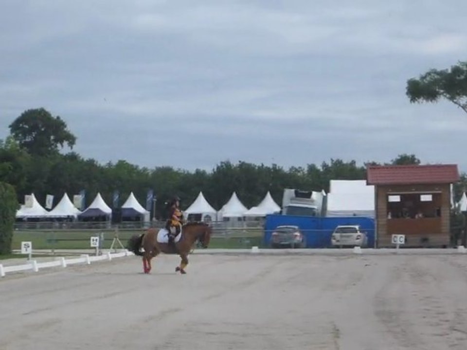 RLM Poney 2 Lamotte 2012
