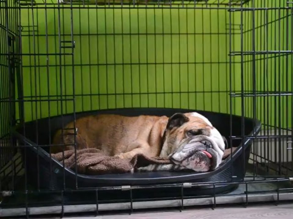 Loli est . . . à fond !