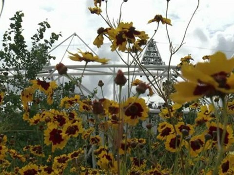 Que venham as Paralimpíadas!