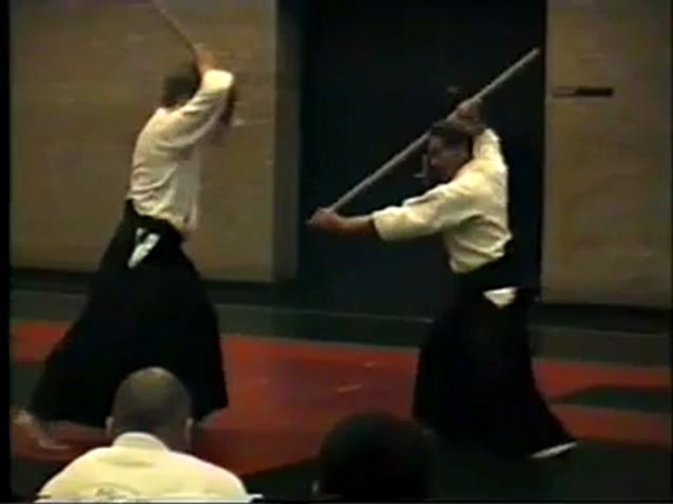 6 - Nishio Sensei Gyakuhanmi nikkyo ken tai jo