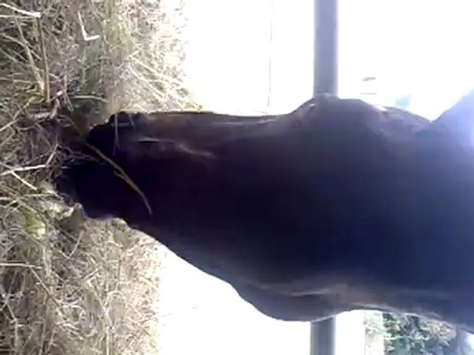 12082012090
