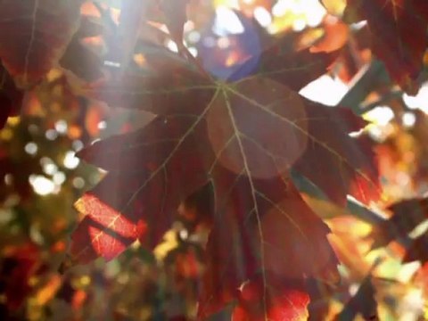 Vicky Beeching - Yesterday, Today and Forever