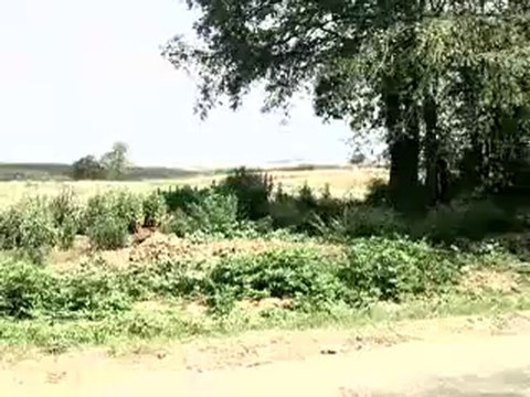 HAZER EMLAK TEL 0546 851 6657 SAKARYADA SATILIK ARSALAR SAKARYADA SATILIK ARSA, SATILIK ARSA SAKARYA KELEPİR YATIRIMLIK