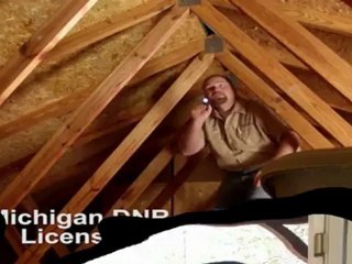 Bat Removal Howell Michigan