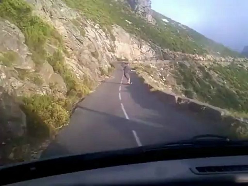 Freebord ride antennes de Teghime