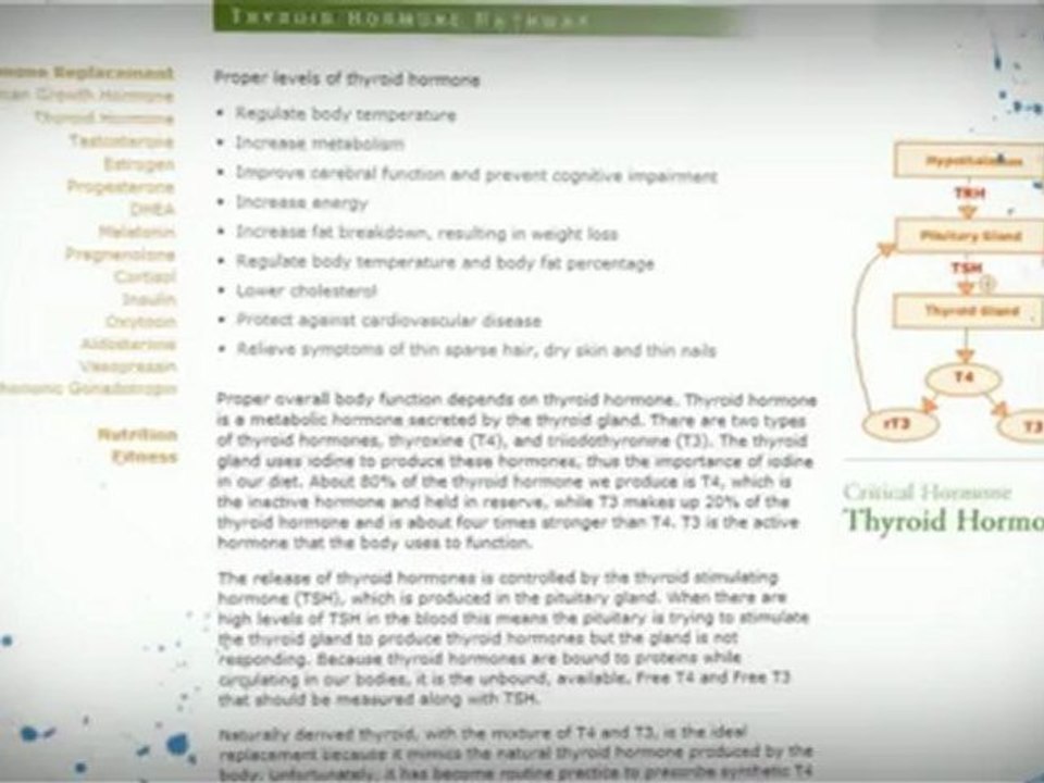 MD Longevity Dr. Ann J. Peters MD Anti Aging Physicians #4