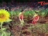 Vajrayudham Songs - Addanki Cheeralo - Sridevi - Krishna