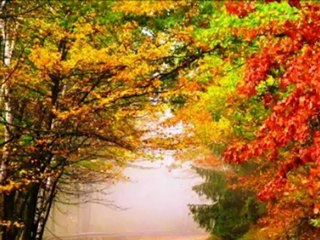 DAILY IN CHRIST - 130