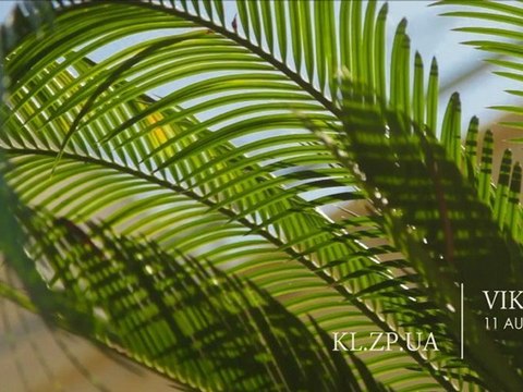 2012.08.11 Юлия и Виктор