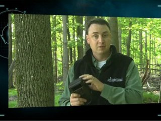 DSI Video Tip: Set & Forget