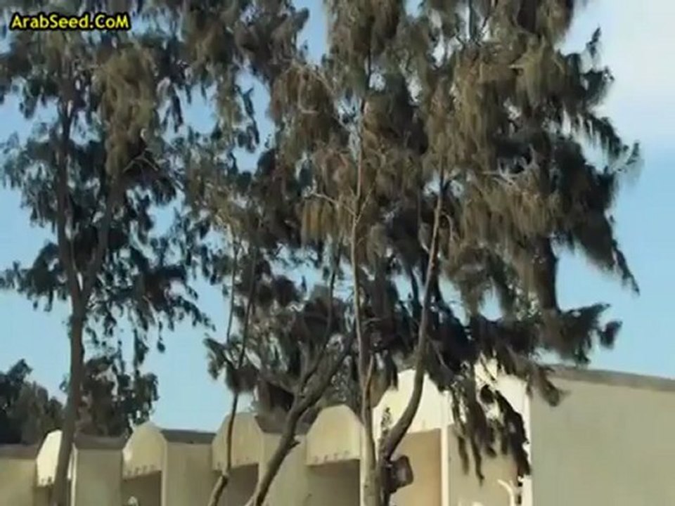 CairoFox.CoM  - مسلسل الهروب الحلقة 30 والاخيرة