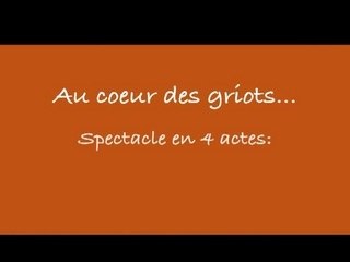 Au coeur des griots