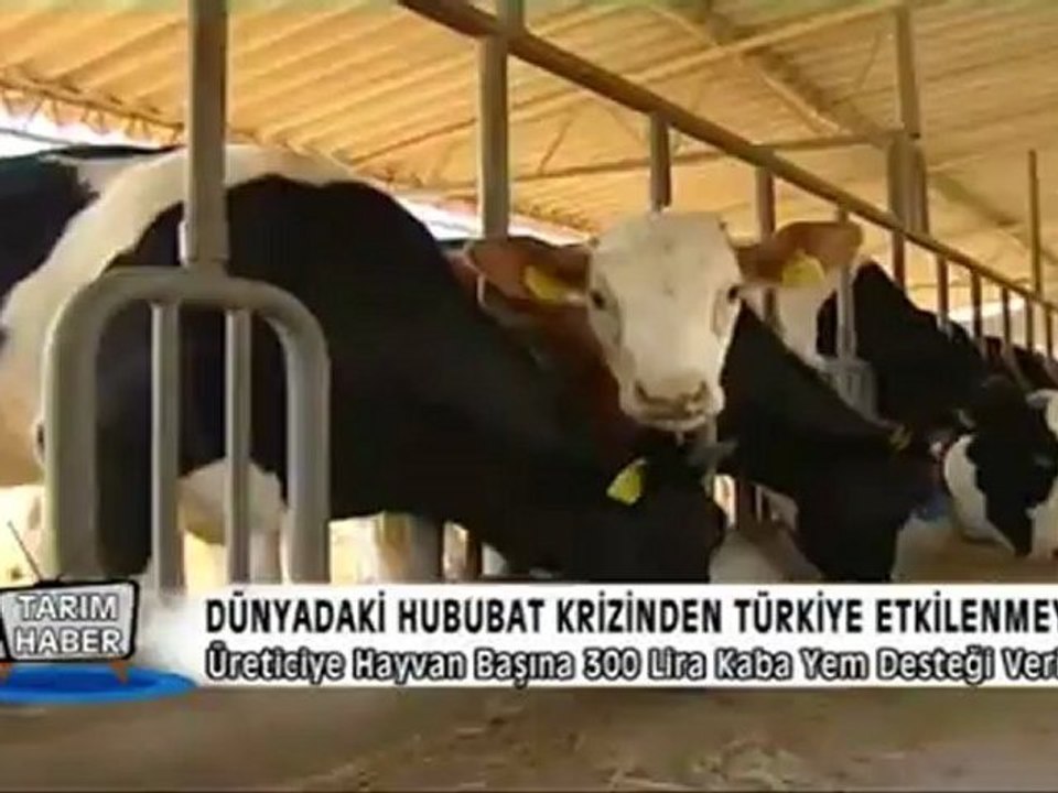 DÜNYADAKİ HUBUBAT KRİZİNDEN TÜRKİYE ETKİLENMEYECEK