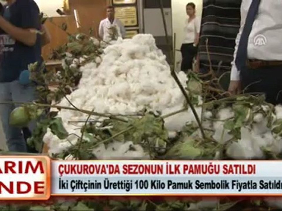 ÇUKUROVA’DA SEZONUN İLK PAMUĞU SATILDI