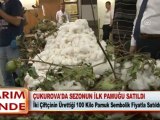 ÇUKUROVA’DA SEZONUN İLK PAMUĞU SATILDI