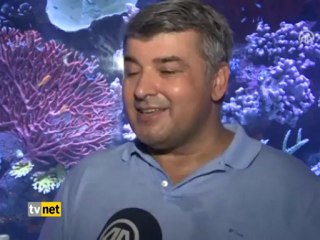 DEV AKVARYUMA GERİ SAYIM