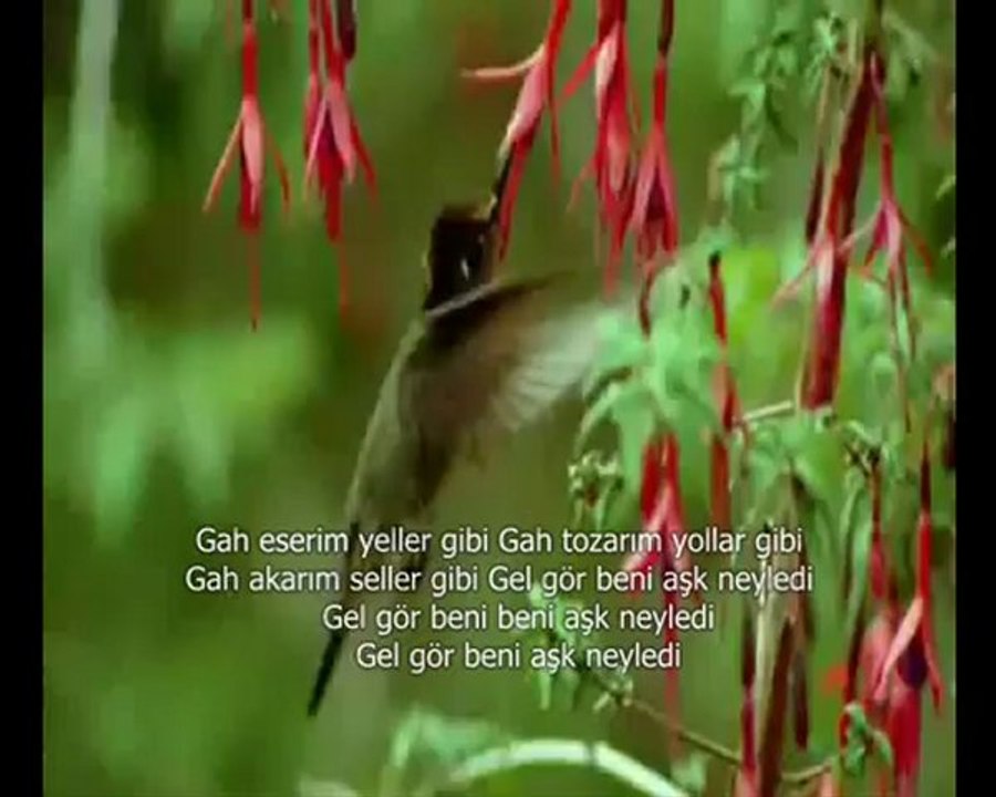 Tuncer Yolal - Gel Gör Beni Aşk Neyledi 2012 ilahi dinle