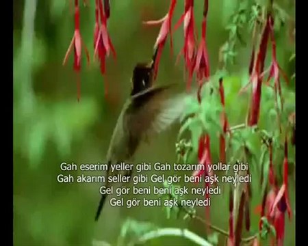 Tuncer Yolal - Gel Gör Beni Aşk Neyledi 2012 ilahi dinle